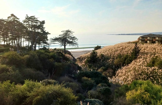 Seascape Aptos 