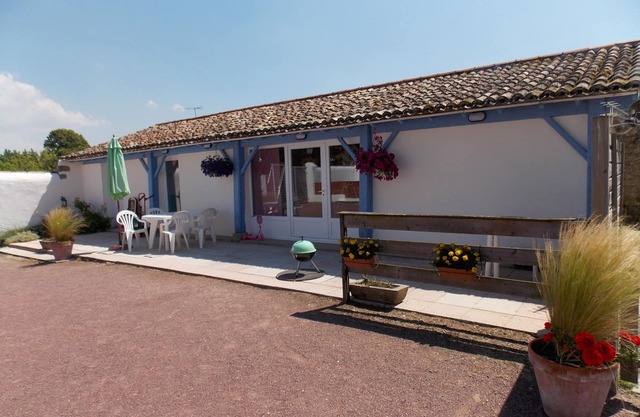 Stars People Swimming 