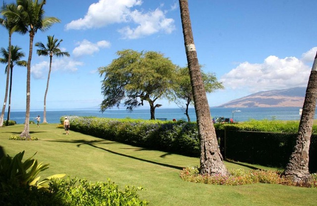 Royal Mauian #202 by Ali'i Resorts