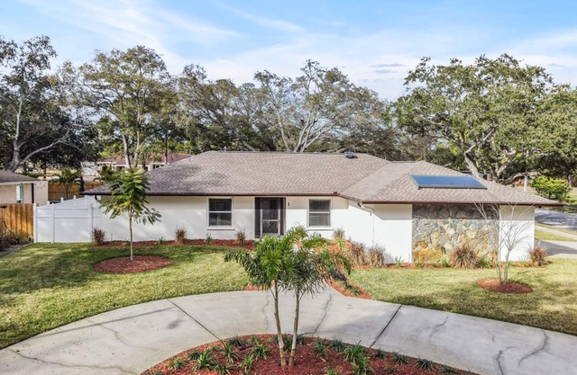 Safety Harbor Pool Home