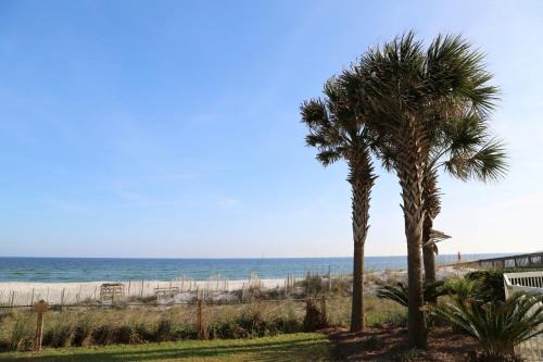 Phoenix Orange Beach 