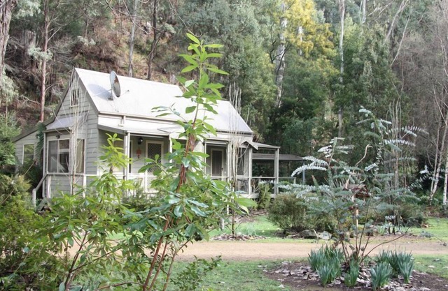 Shadybrook Alpine Cottage No Gardens The Ovens River 