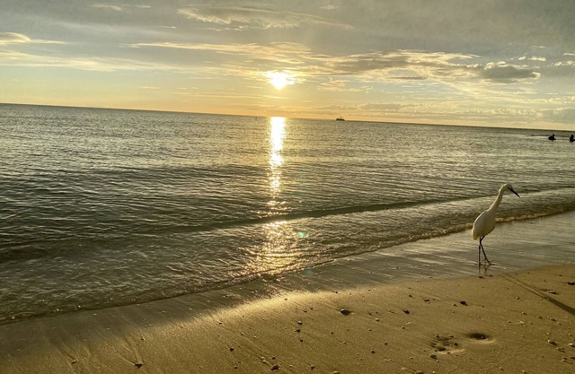 The Beach Moorings 