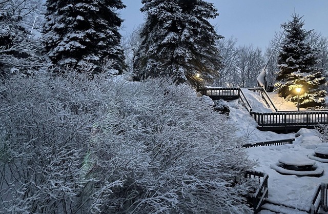Ski -In/Ski-Out- Cozy 3 Bedroom No Stairs (1 Night Rentals Ok)