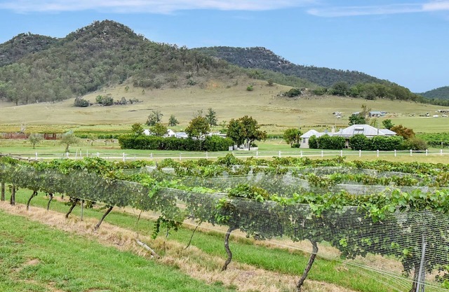 Somerville Wines Farm 