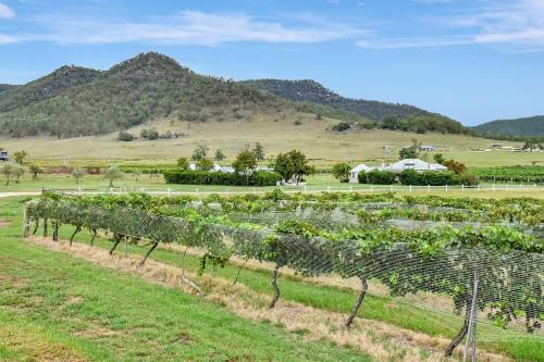 Somerville Wines Farm 