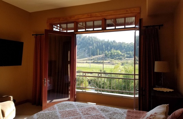 Spacious Pet Friendly Downtown Condo.Walking Distance to Everything!