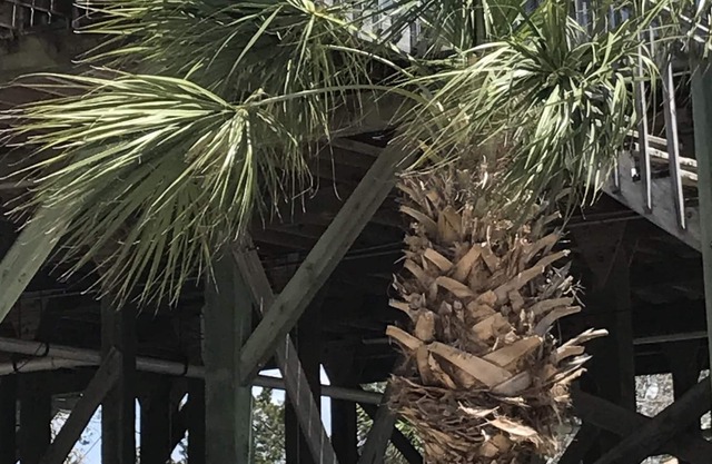 Spring Warrior Fish Camp #2 Located on the Gulf of Mexico