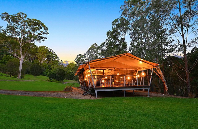 Nights Camping Special 