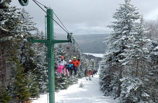 Stemwinder Snowshoe 