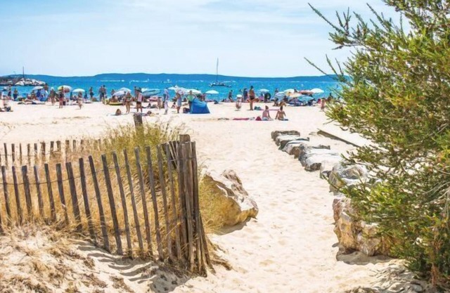 Bormes Les Mimosas 