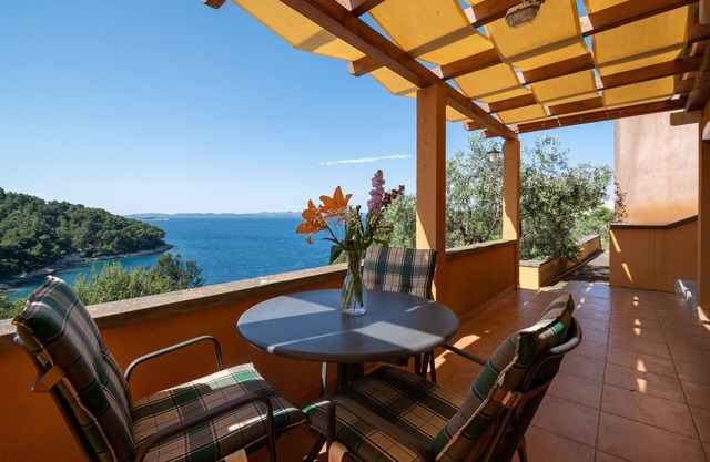 Studio flat with terrace and sea view Sali, Dugi otok (AS-17791-a)