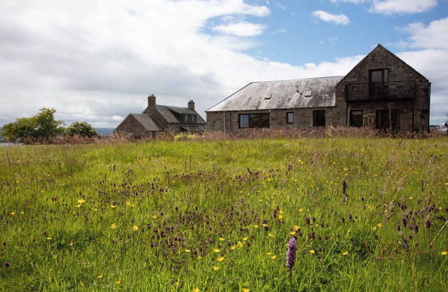 The Moray Firth Dolphins 