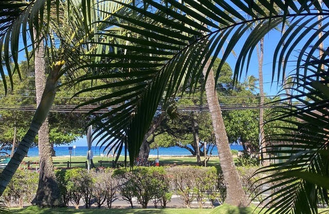 Honokowai Palms 