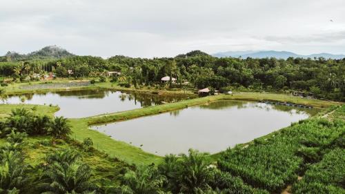 Kampung Bongsu Farm Stay 