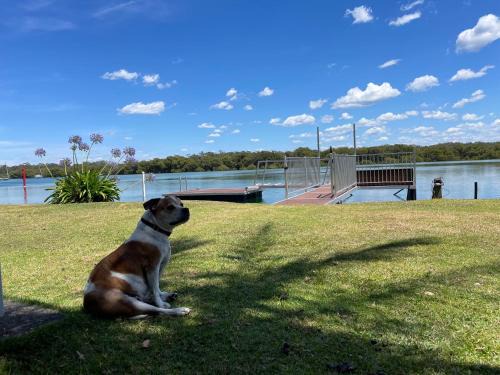 The Jetty Jervis Bay 