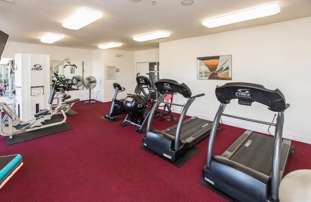 The Sandbridge Dunes - After Five 117