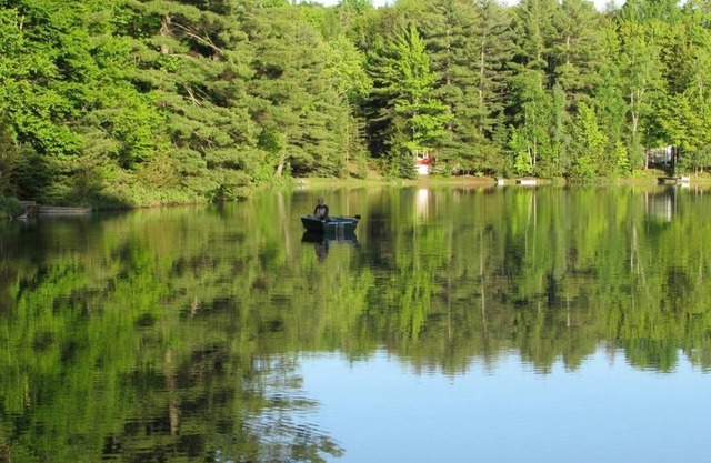 Turtle Cove Town 