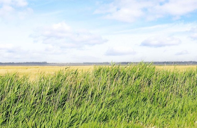 Vacation home Thorsminde in Ulfborg - 8 persons, 3 bedrooms