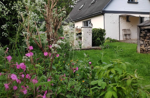 Cottage Sancy Super 