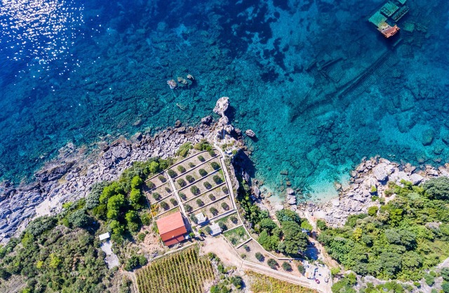 Villa Sea Edge 