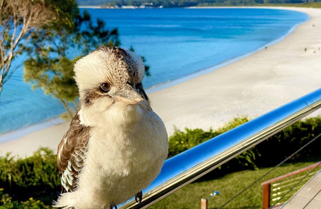 Walters Holiday Flats Hyams Beach 
