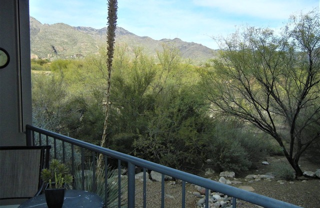 Greens At Ventana Canyon Tucson 