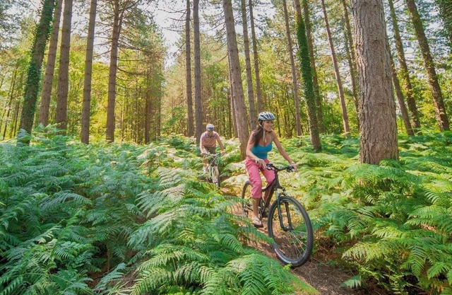 Woodland Rustic 2 Bed