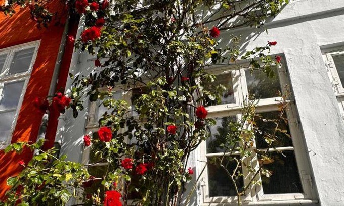 Christianshavn Villa | 225 m² Villa ∙ 5 bedrooms ∙ 10 guests