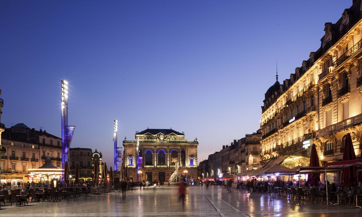 Aiguerelles Hotel | Ibis Montpellier Sud