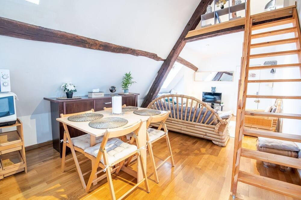 Amboise Apartment | Le petit soleil - Le T2 Climatisé