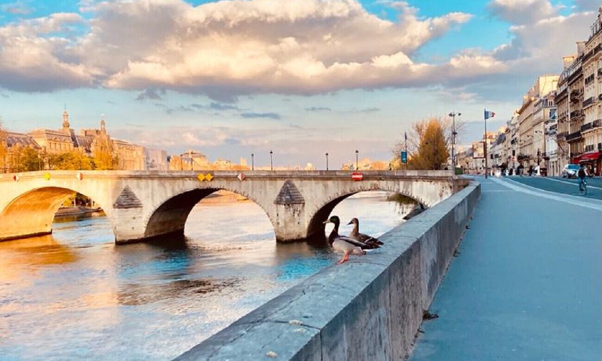 Strasbourg -Saint-Denis Apartment | Urban Flat 70 - Authentic 3BDR Parisian Flat