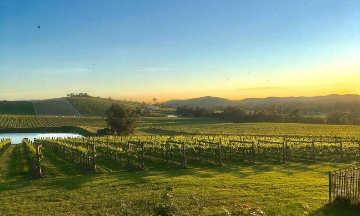 Dixons Creek Apartment | Mt Hope Estate Vineyard Accomodation