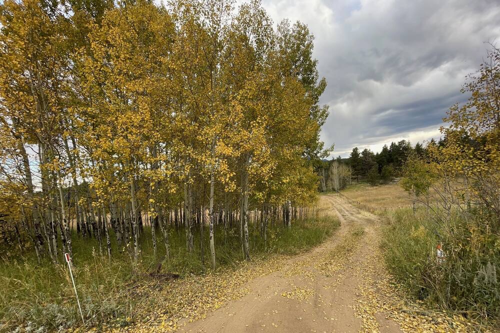 Nederland Cabin | Slice of Wild Heaven: Magical, Cozy, Forest Cabin @ the Top of the World. Views