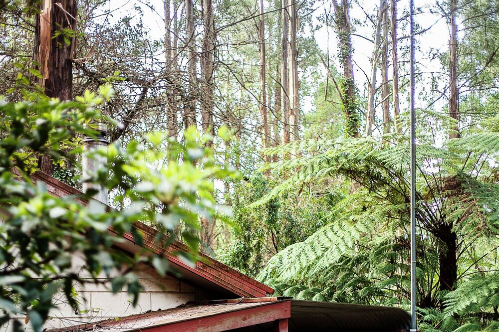 Mount Dandenong Cottage | Spa Cottage in 7 acre Rain Forest Paradise