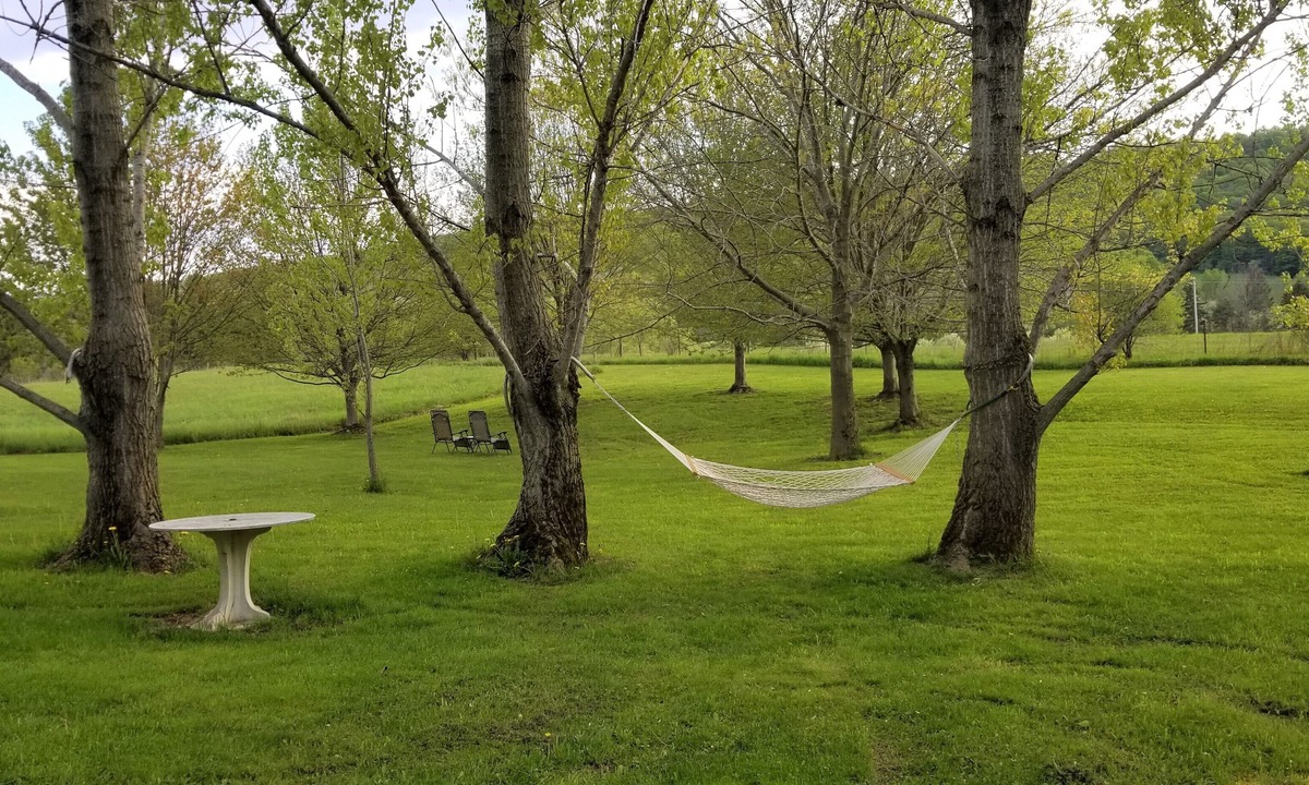 Cazenovia Apartment | RidgeView at Chittenango Falls