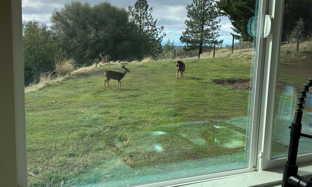 Fiddletown Cabin | Cottage at Deer Run