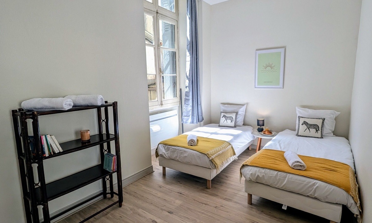 Downtown Angers Apartment | Hyper Centre with magnificent view