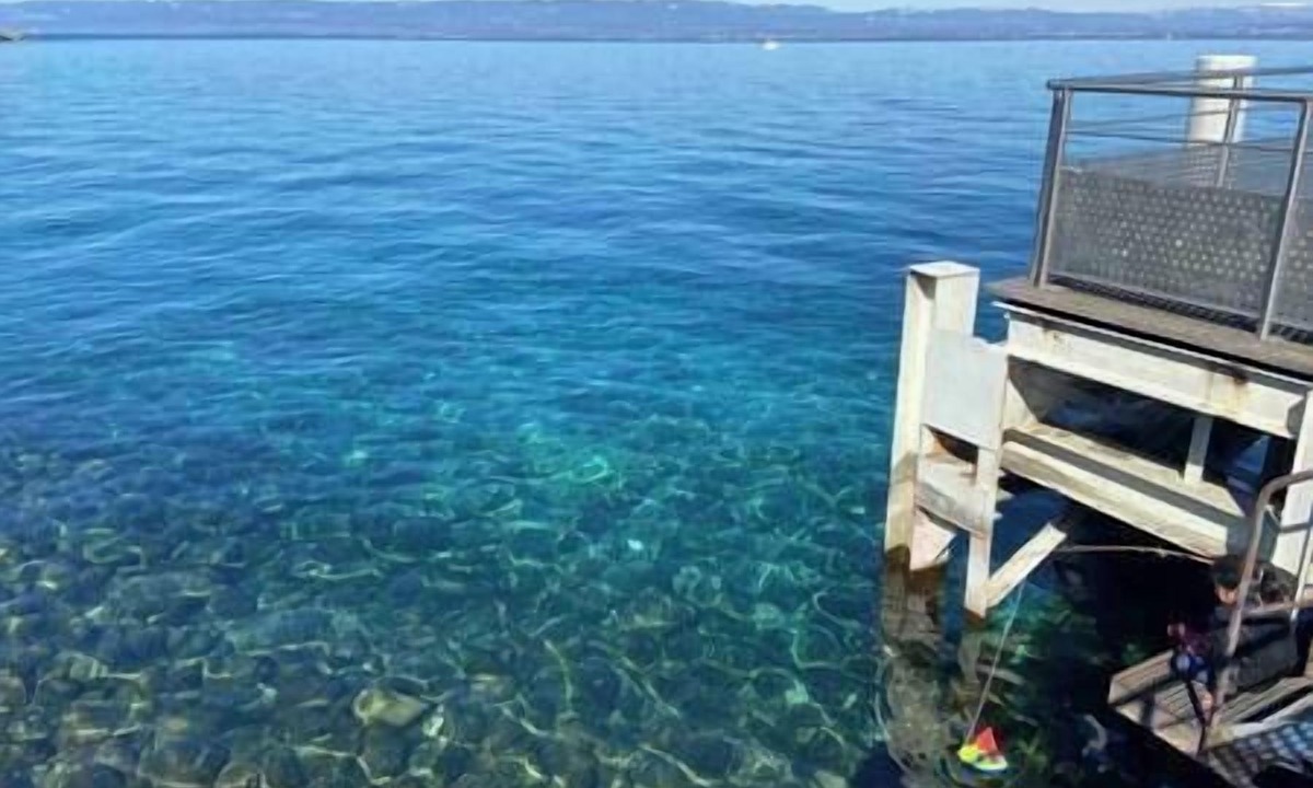 Lugrin Apartment | *2 rooms SUPERB LAKE VIEW 5mn Evian