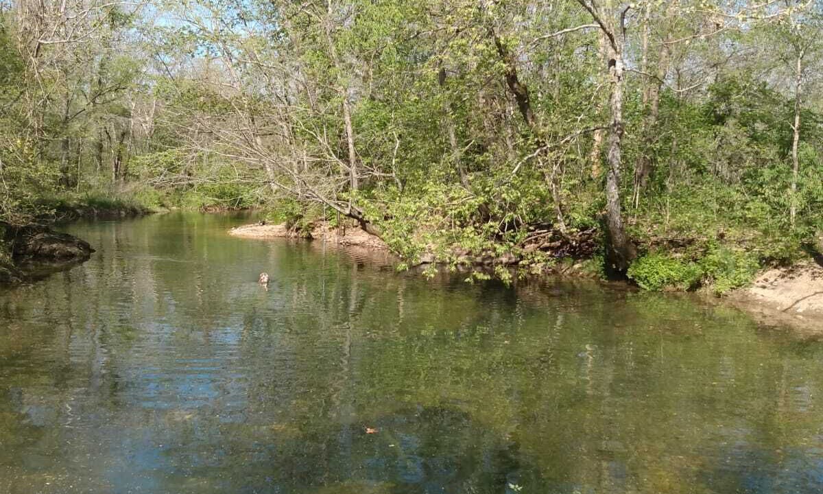 Seymour RV Rental | RV sites with river access.