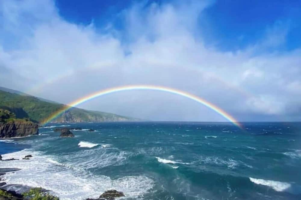 Mountain View House | Ohi'a Forest Oasis