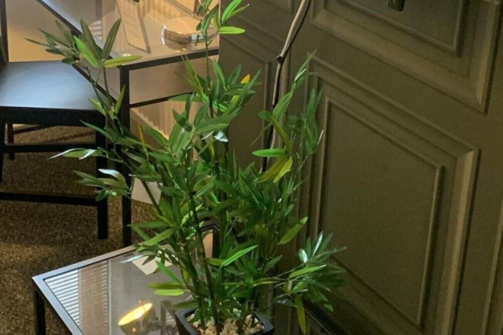 Eastleigh Apartment | Matipa-Rise Apartments