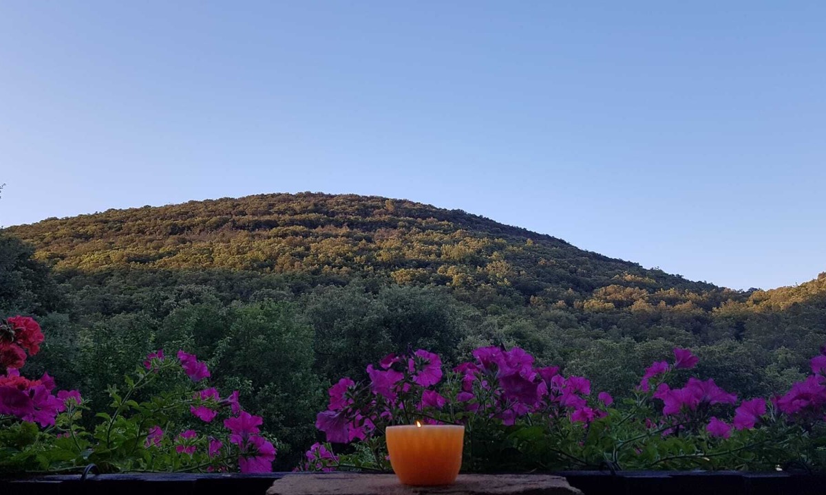 Thoiras Cottage | Gîte Ecureuil