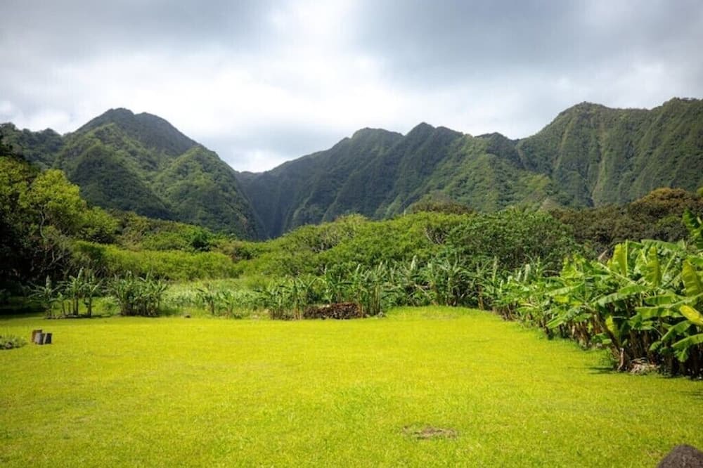 Punaluu Cabin | Majestic Cabin Stay