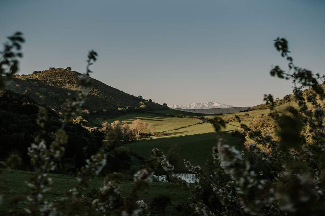 Palairac House | Gîte à la Ferme de Couise