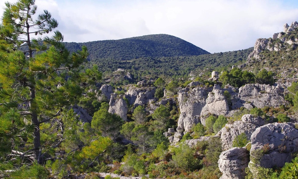 Lodeve Apartment | Apartment With Garden And View