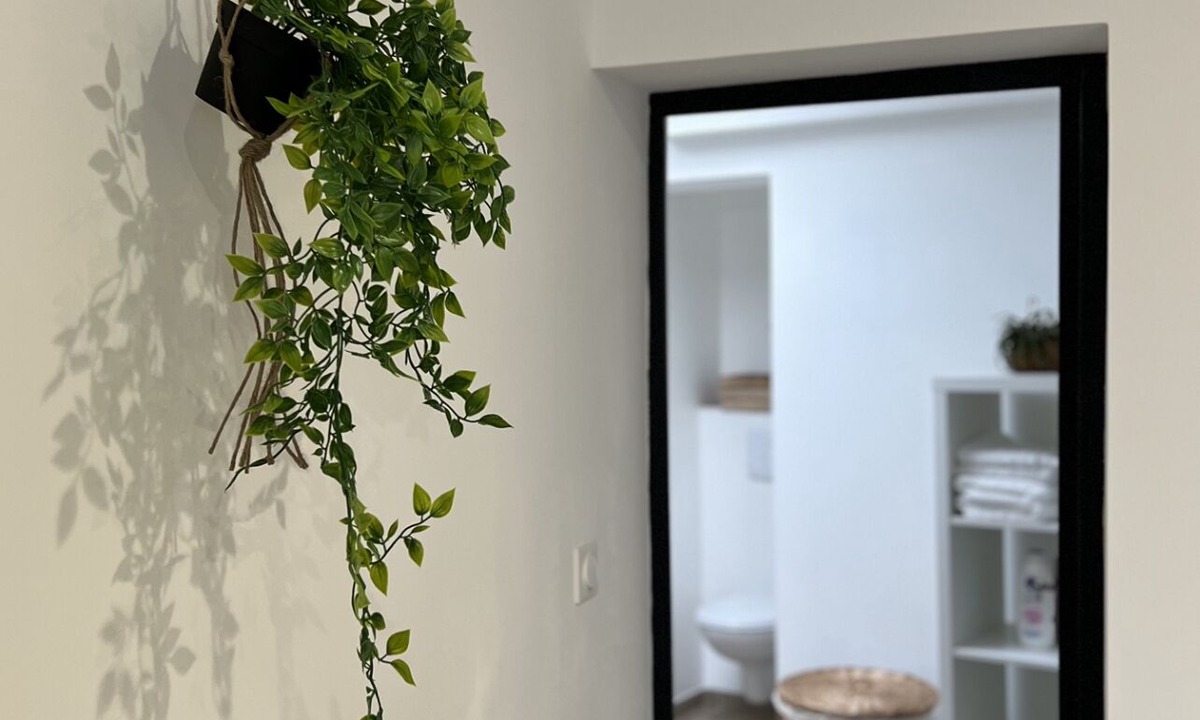 Henin-Beaumont House | Maison Bohème