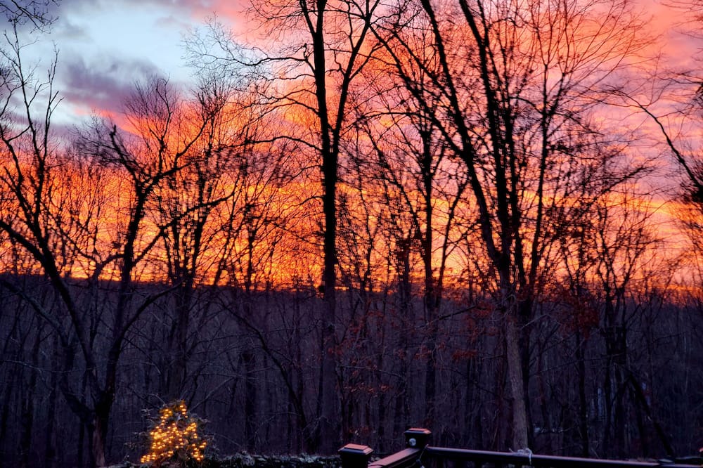 Hebron House | Rustic barn on remote 12 acre property. Private, scenic, pet friendly, bathroom
