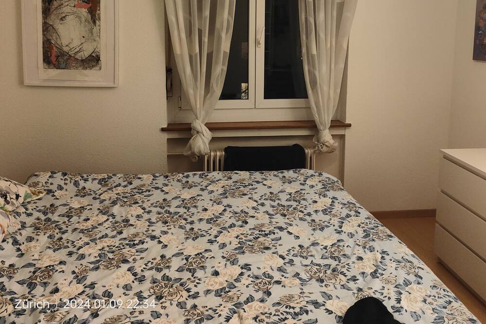 Wollishofen Apartment | Zurich 2 bedroom with balcony