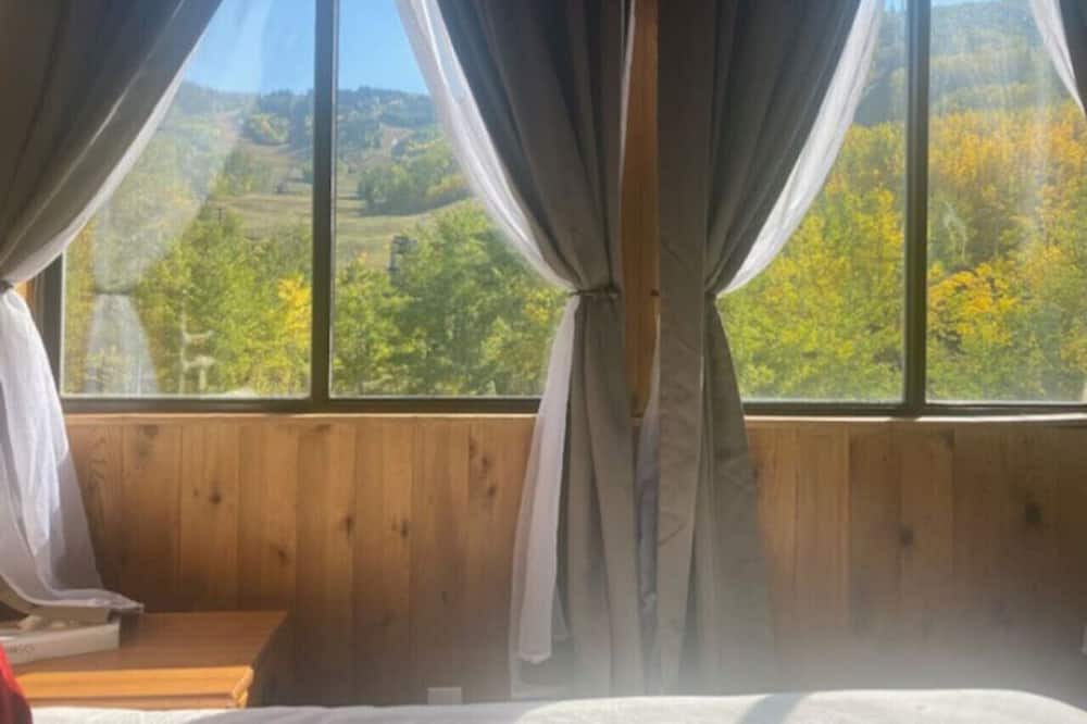 Glenwood Springs Cabin | Mountain View Room #12
